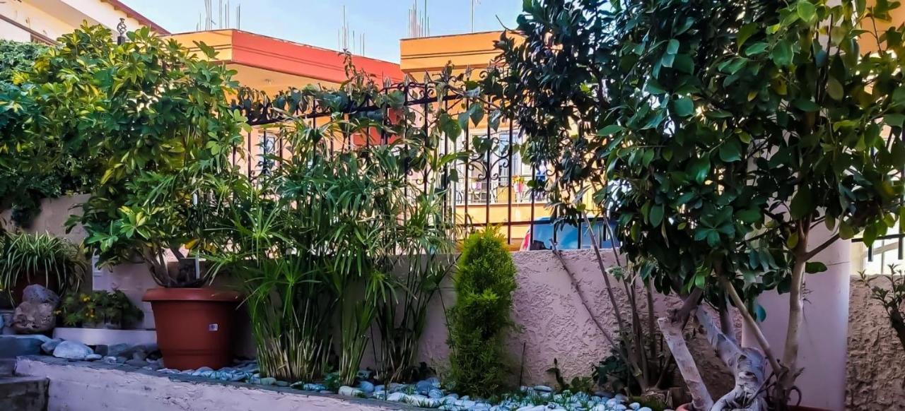 West Garden At Aigio By Greece Apartments מראה חיצוני תמונה